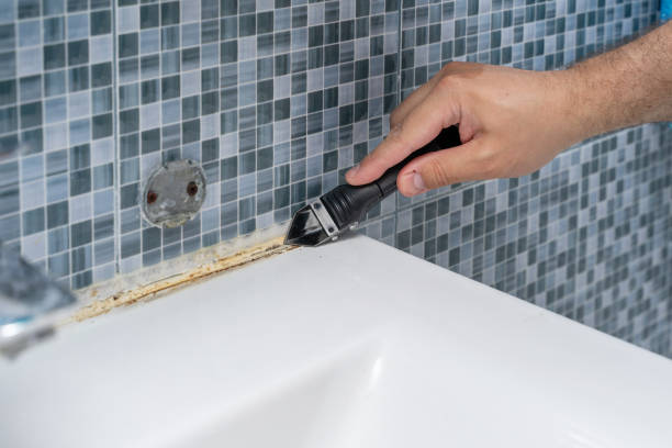Best Attic Mold Removal  in Mount Olive, AL