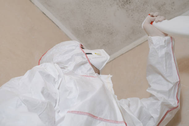 Best Toxic Mold Removal  in Mount Olive, AL