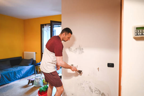 Best Mold Damage Repair  in Mount Olive, AL